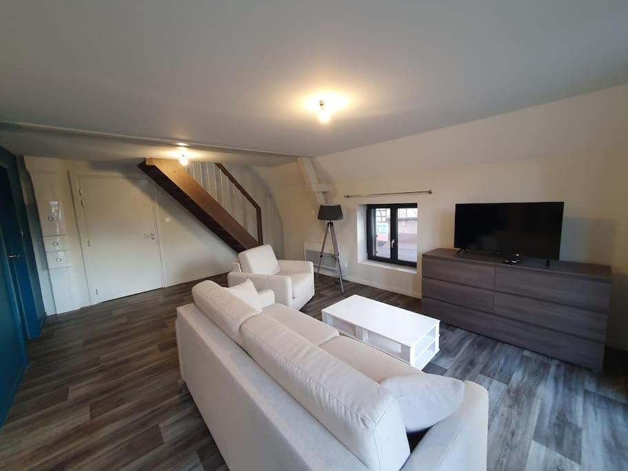 Appartement 2 Pieces Tout Confort, Aux Portes De Colmar Andolsheim Экстерьер фото
