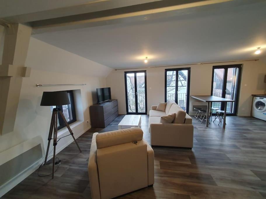 Appartement 2 Pieces Tout Confort, Aux Portes De Colmar Andolsheim Экстерьер фото